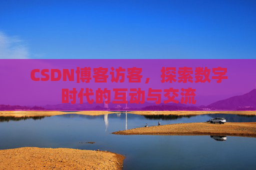 CSDN博客访客，探索数字时代的互动与交流